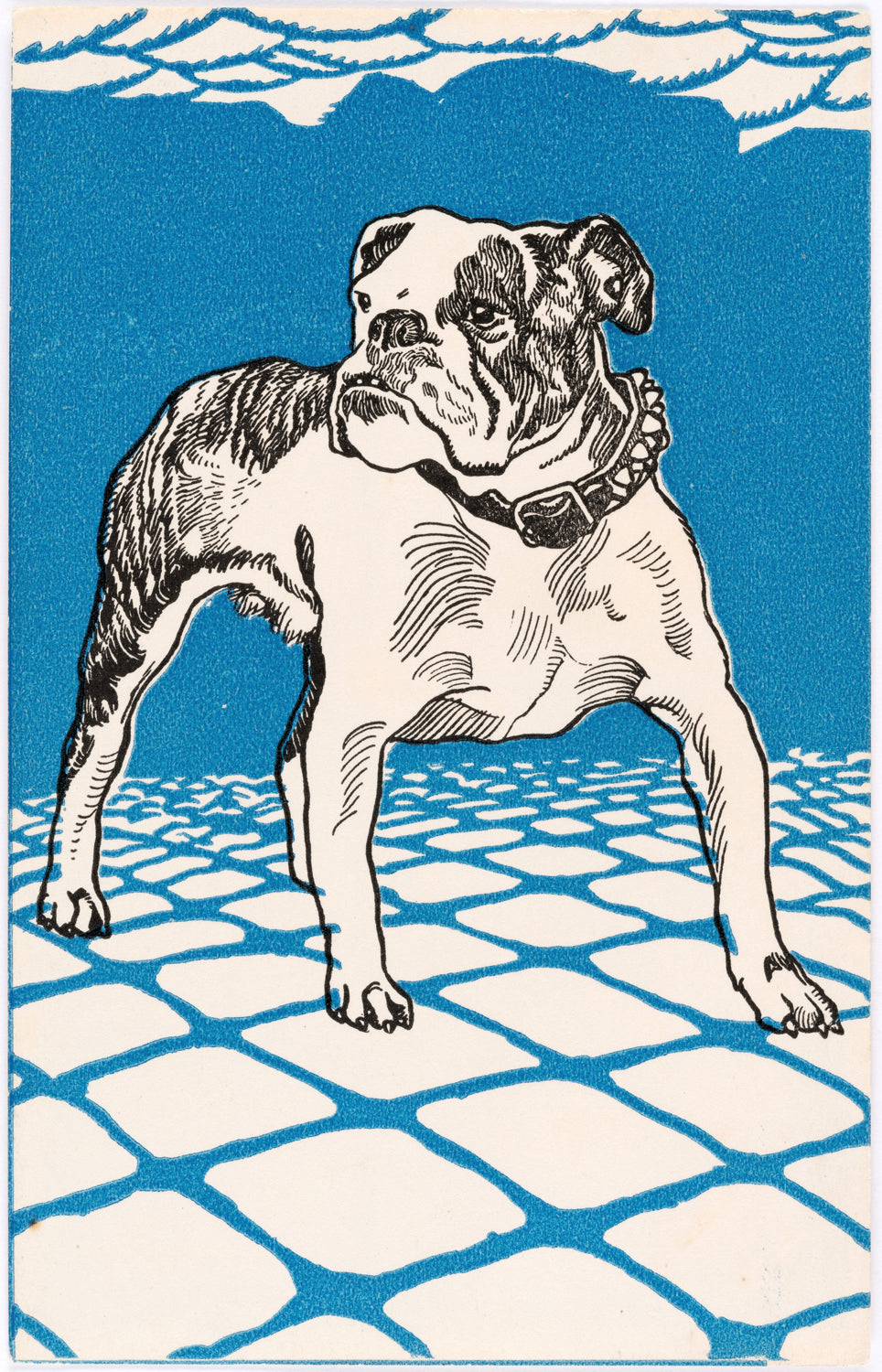 Bulldog